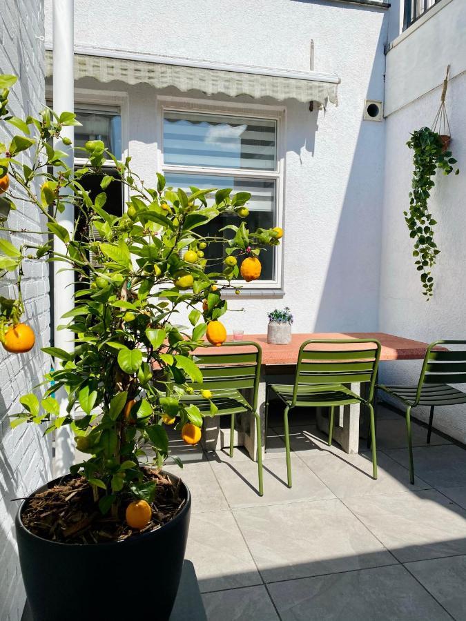 戈伊斯Private House With Patio In Historic Center别墅 外观 照片